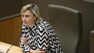<p>Die flämische Regionalministerin Hilde Crevits will schärfer gegen den Verstoß bei Corona-Beihilfen vorgehen.</p>