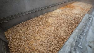 <p>Lebensmittelskandal 2017: Millionen mit Fipronil belastete Hühnereier mussten vernichtet werden.</p>