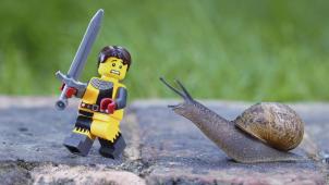 <p>LEGO PHOTONEWS_10880313-009</p>