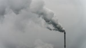<p>Mit seiner zu laschen Klimapolitik verstößt Belgien gegen die Menschenrechte. So heißt es in einem Urteil des Gerichts Erster Instanz in Brüssel.</p>