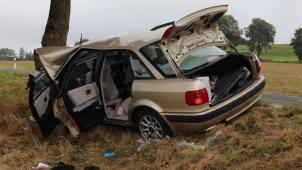 <p>vu_toedl-hersdorf26.9.21pol</p>