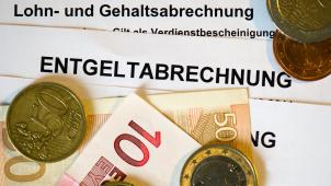<p>Vor allem die staatlichen Lohnkostenzuschüsse sind hoch in unserem Land.</p>