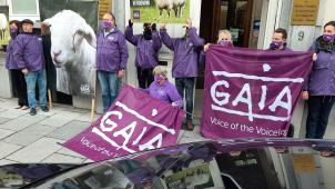 <p>Aktivisten von GAIA protestierten am Donnerstag vor dem Amtsitz des Brüsseler Ministerpräsidenten.</p>