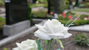 <p>96720913</p>