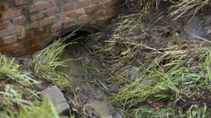 <p>belgaimage-136460722-full</p>