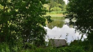 <p>Diese Aufnahme zeigt einen Teich der im Naturschutzgebiet Blaasveldbroek liegt.</p>