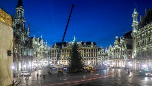 <p>Der Baum wurde in den frühen Morgenstunden aufgerichtet.</p>
