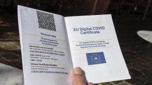 <p>Beim Interföderalen Zentrum für Chancengleichheit Unia sind seit August vermehrt Beschwerden, die das Covid Safe Ticket betreffen eingegangen.</p>