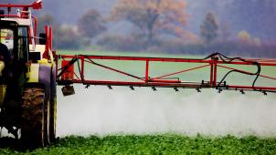 <p>Unter den entdeckten Schadstoffen sind auch Pestizide, die in Europa verboten sind.</p>