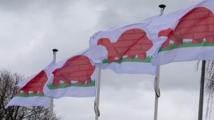 <p>Batibouw-Fahnen auf dem Brüsseler Ausstellungsgelände</p>