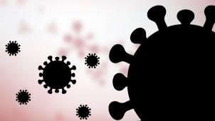 <p>PHOTONEWS_10956403-002</p>