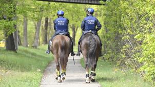 <p>Die Reiterstaffel besteht akutell aus 95 Beamten.</p>