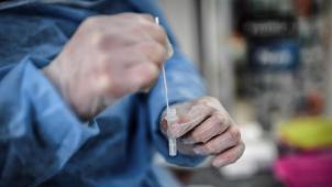 <p>BELGAIMAGE-185806171</p>