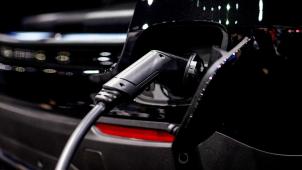 <p>BELGAIMAGE-184993453</p>