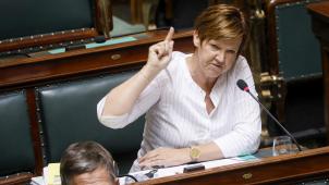<p>Els Van Hoof bei einer Rede in der Kammer</p>