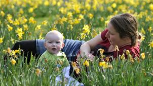 <p>Der Bund der Familien möchte, dass Frauen die Mittel erhalten, um ihre Mutterschaft besser zu leben.</p>