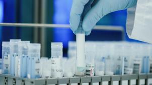 <p>271159120</p>