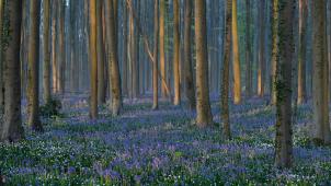<p>Belgaimage-33877408</p>