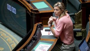 <p>Ministerin Annelies Verlinden im Kammerplenum.</p>