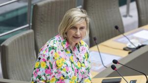 <p>Hilde Crevits</p>