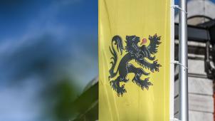 <p>Die Flagge von Flandern</p>