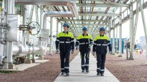 <p>feiten_cijfers</p>