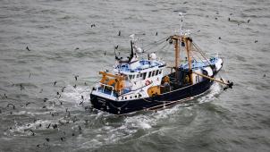 <p>Ein Fischerboot schippert über die belgische Nordsee.</p>