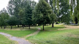 <p>Im Tivoli-Park in Herbesthal wurden „Inseln“ geschaffen, die nur einmal jährlich gemäht werden.</p>