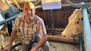 <p>Rund hundert Milchkühe und 145 Jungtiere hat Roger Bourseaux.</p>