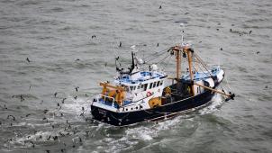 <p>Ein Fischerboot schippert an der belgischen Küste.</p>