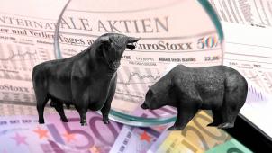 <p>Ob Bulle (Börsenhausse) oder Bär (Baisse), wer mit seinen Ersparnissen an die Börse geht, sollte einige Grundprinzipien beherzigen.</p>