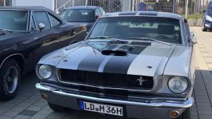 <p>Mustang_1</p>