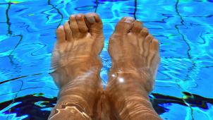 <p>imago0163593877h</p>