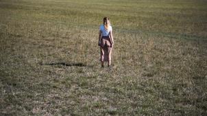 <p>Von der Sonne verbrannte Weide</p>