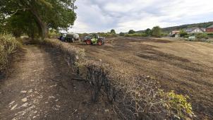 <p>Weite Teile einer Wiese verbrannten am Dienstag in Membach im Zuge von Feldarbeiten.</p>