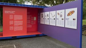 <p>Bis zum 29. September steht der Ausstellungscontainer noch vor dem Museum ZVS in St.Vith.</p>