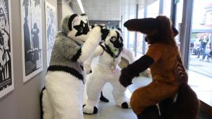 <p>Eine Furry-Szene: Menschen, die sich in vermenschlichte Tierkostüme stecken, durch die Gegend laufen und ihren Schabernack treiben.</p>