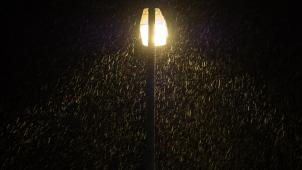 <p>Werktags zwischen Mitternacht und fünf Uhr morgens heißt es in Eupen „Licht aus“.</p>
