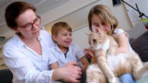 <p>Katzen haben zuletzt hierzulande an Beliebtheit verloren.</p>