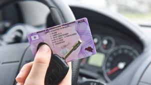 <p>Vorerst ist der Online-Antrag nur für provisorische Führerscheine ohne Begleitperson möglich.</p>