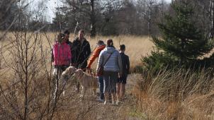 <p>Solche Begegnungen waren eher selten (©5Foto NC-Media)</p>