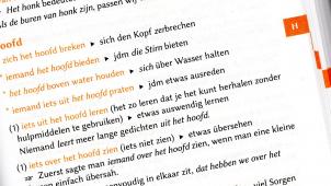 <p>Eine Auswahl der Anmerkungen zum Stichwort „hooft“.</p>