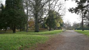 <p>Auch im Park von Cointe werden in Kürze 20 Bäume gefällt.</p>