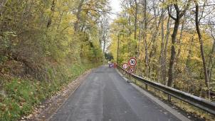 <p>_DSC0392</p>