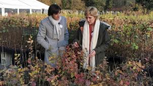 <p>Die zuständige Regionalministerin Céline Tellier (Ecolo), hier mit dem wallonischen Ministerpräsidenten Elio Di Rupo (PS).</p>