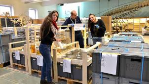 <p>Die vorbereitenden Arbeiten im Museum laufen auf Hochtouren.</p>