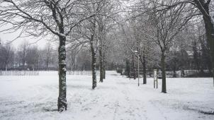 <p>Viele Menschen wurden von dem Wintereinbruch am Freitag überrascht.</p>