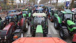 <p>Hunderte Landwirte aus Flandern haben am Freitag den Weg nach Brüssel gemacht.</p>
