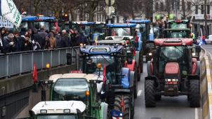 <p>Mancherorts in Brüssel ging am Freitagnachmittag nichts mehr. Tausende Traktoren blockierten die Straßen.</p>