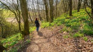 <p>Besonders zum Wandern kommen die Gäste im Frühling nach Ostbelgien. Foto: Peter Freisen</p>